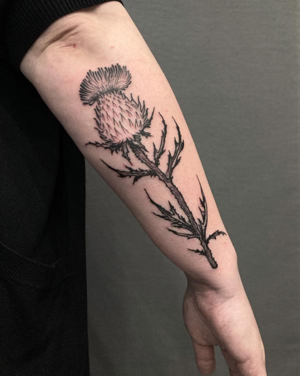 Thistle outer forearm tattoo