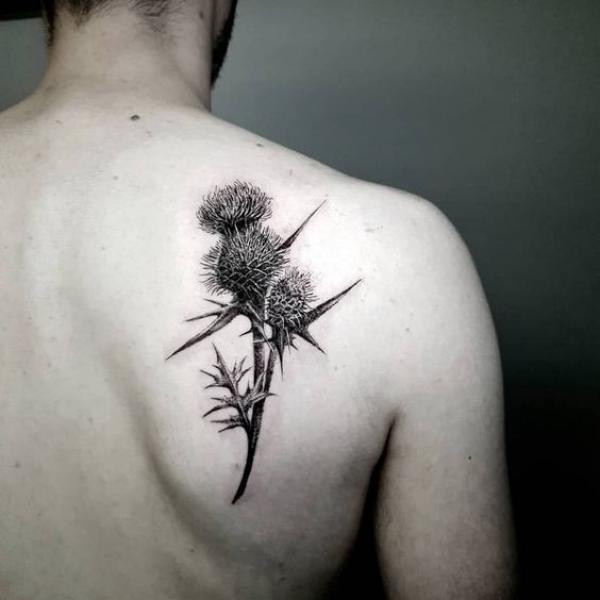Thistle shoulder blade tattoo