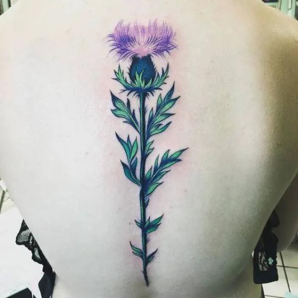 Thistle spine tattoo
