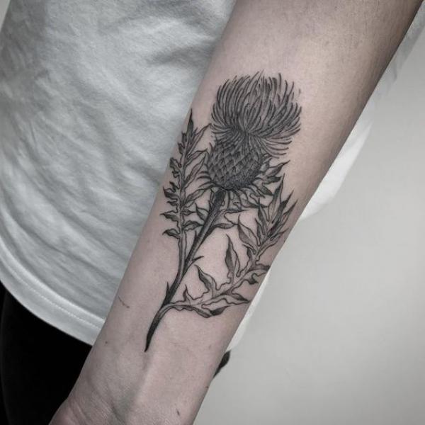 Thistle tattoo black and grey