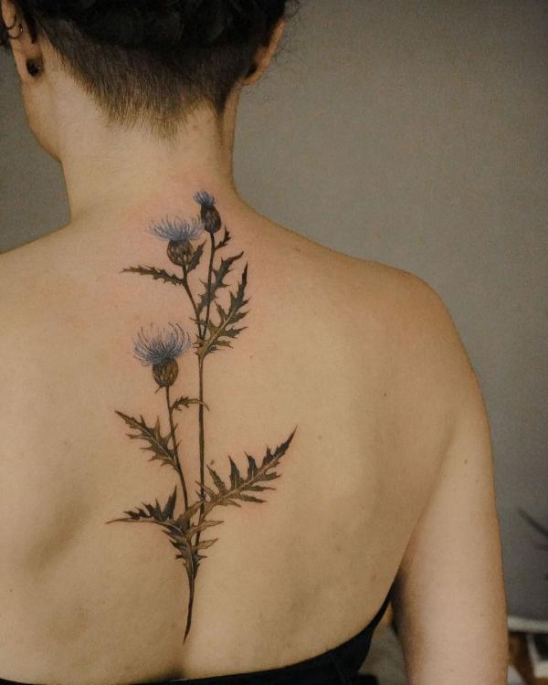 Thistle tattoo on back