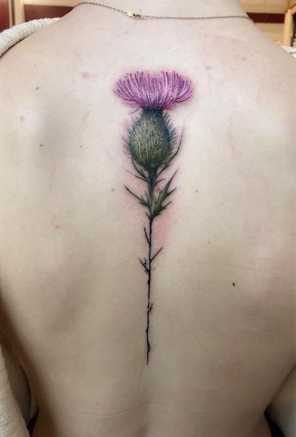 Thistle tattoo on spine