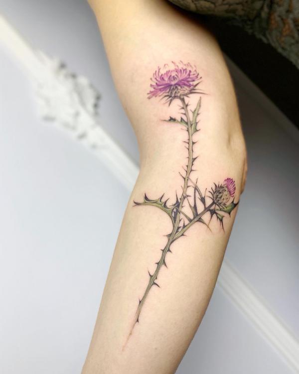 Thistle with thorn tattoo on arm