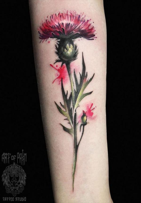 Watercolor thistle forearm tattoo
