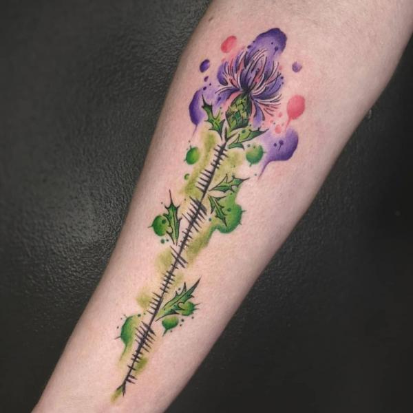 Watercolor thistle tattoo on inner forearm