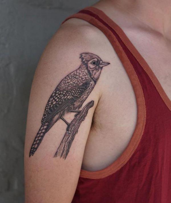 Black and grey blue jay upper arm tattoo