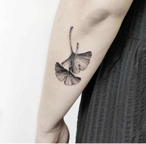 Black and grey two ginkgo leaves tattoo on outer forearm
