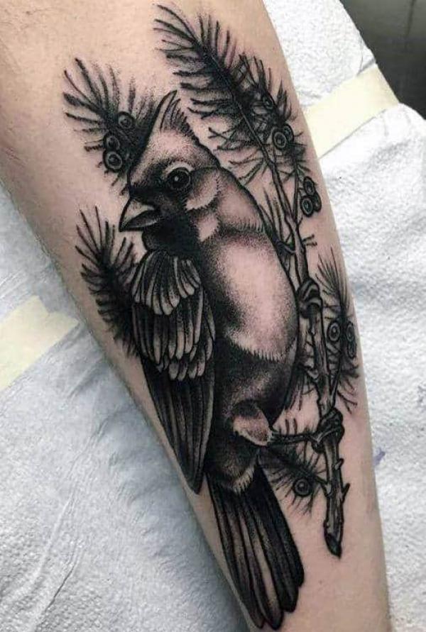 Black and white cardinal arm tattoo