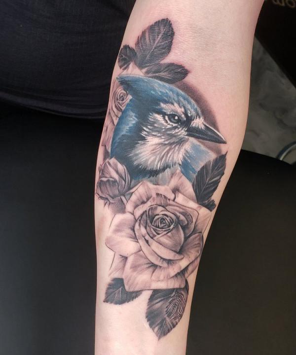 Blue Jay and grey roses forearm tattoo