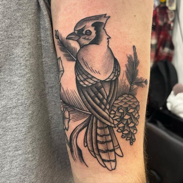 Blue Jay and pinecone tattoo black and grey
