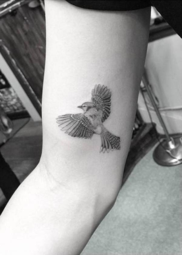 Blue Jay in flight tattoo black and grey