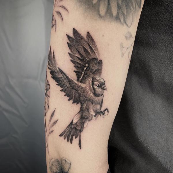 Blue Jay in flight tattoo dotwork