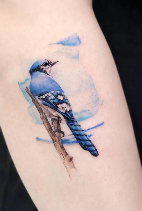 Blue Jay perched on branch on watercolor backdrop tattoo