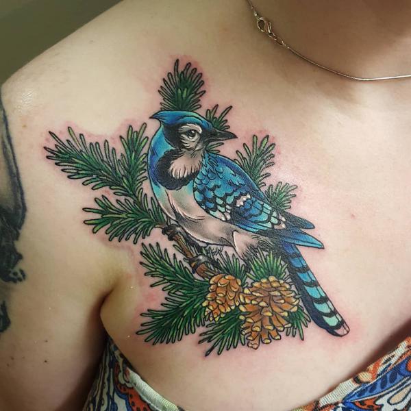 Blue Jay perched on pine tree tattoo