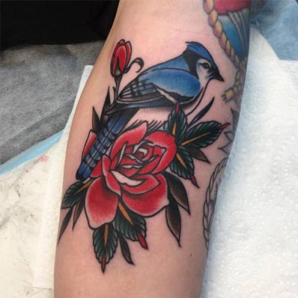 Blue jay and red rose tattoo traditional