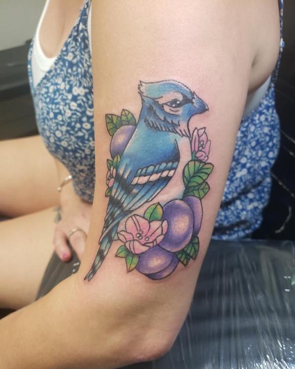 Blue jay on plum branch tattoo