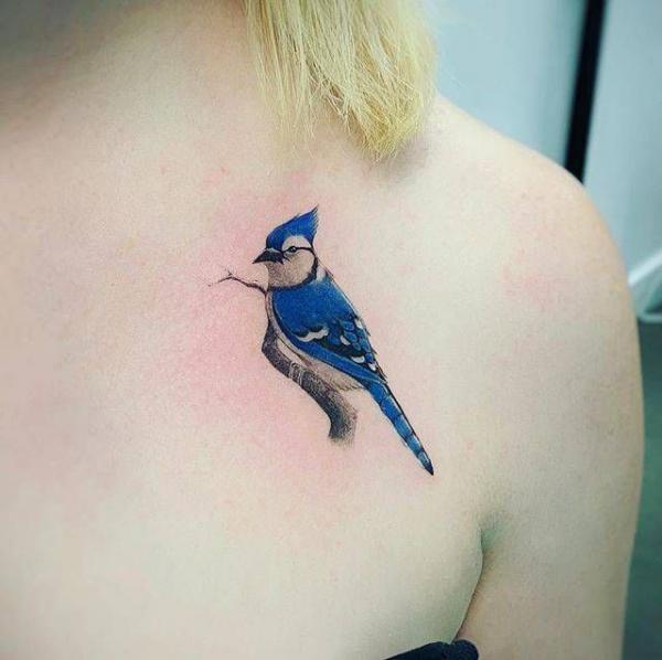Cute Blue Jay perched on branch clavicle tattoo