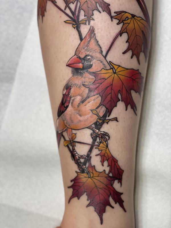 Feminine cardinal and maple leaves tattoo