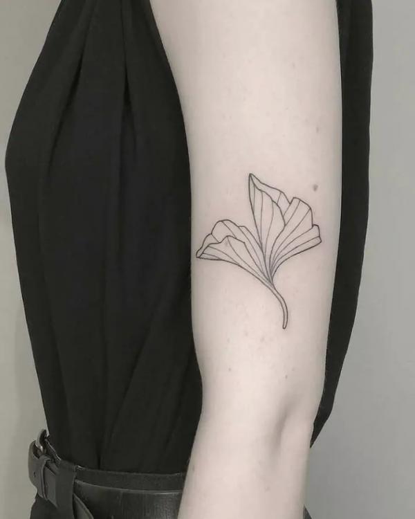 Minimalist tattoo branch leaves herb line art Vector Image