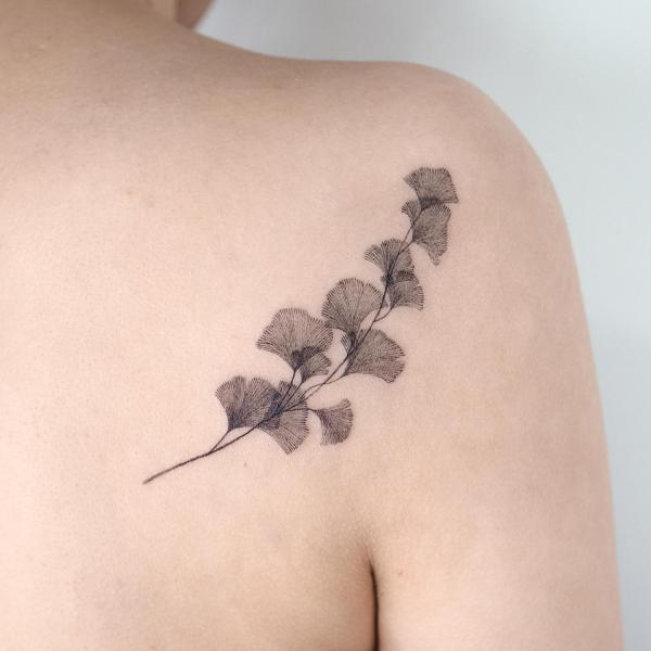 Ginkgo leaf shoulder blade tattoo greyscale
