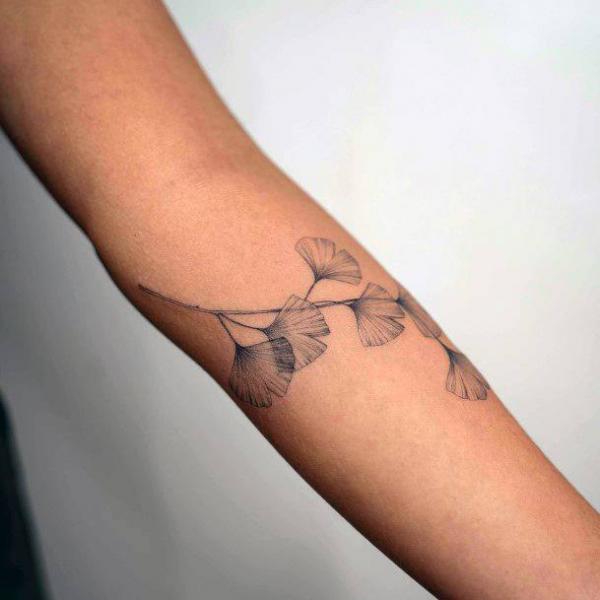 Ginkgo leaves tattoo on inner forearm