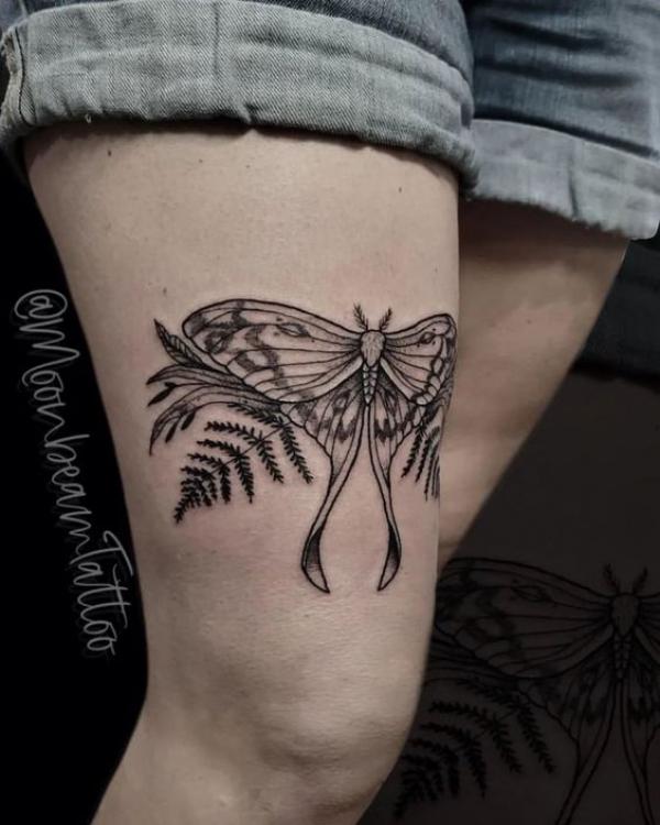 Lunar moth with fern above knee tattoo black and grey