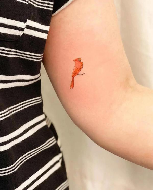 Minimalist cardinal upper arm tattoo