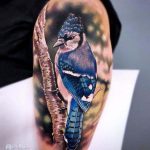 Realistic Blue Jay perched on branch tattoo