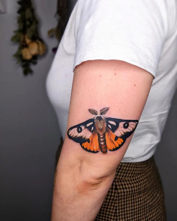 Realistic moth back of arm tattoo