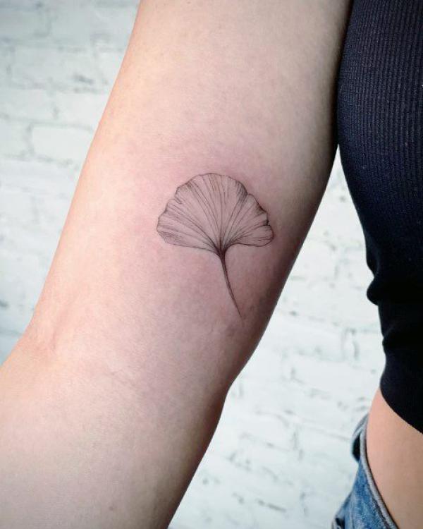 Single ginkgo leaf tattoo on upper arm