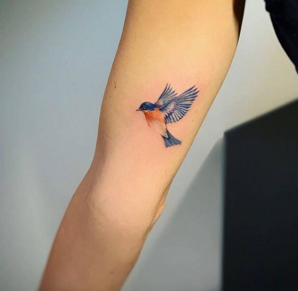 Small Blue Jay in flight tattoo