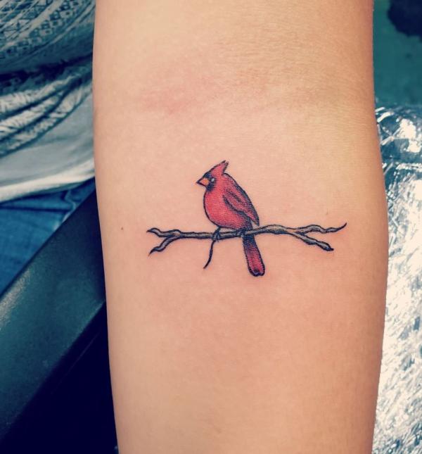 Small cardinal tattoo below elbow