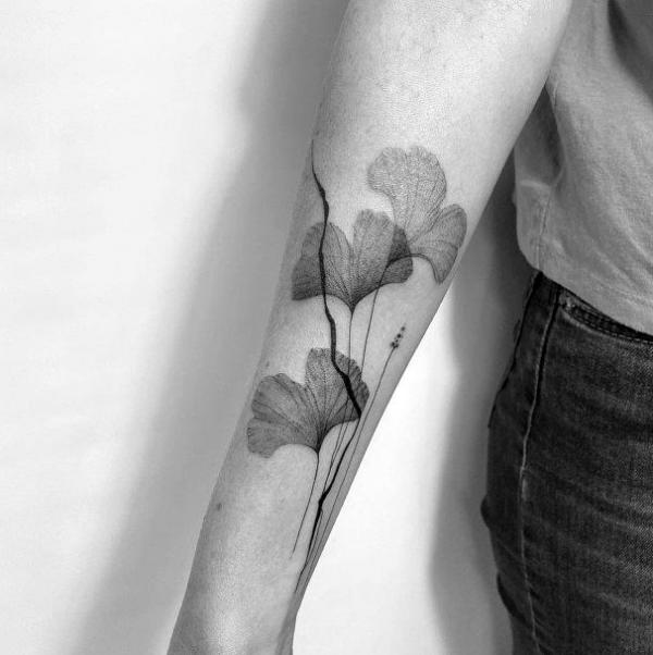 Three ginkgo leaf forearm tattoo black and grey