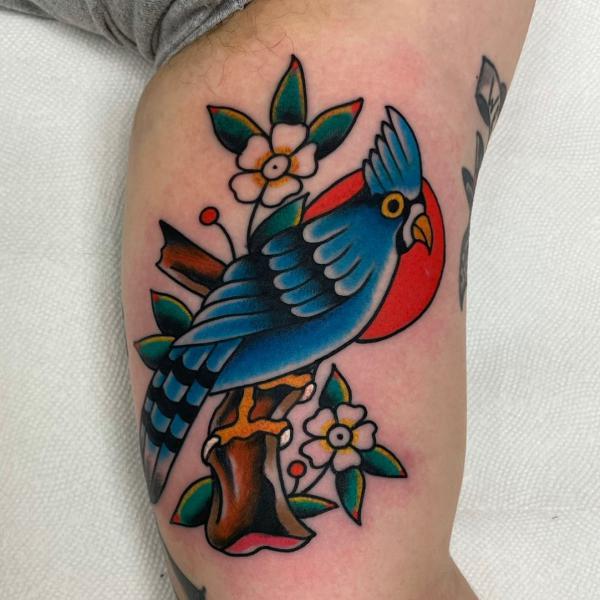 Traditional blue Jay perched on branch tattoo