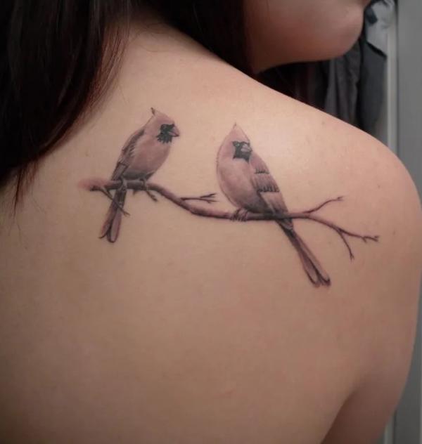 Two female cardinals on branch shoulder blade tattoo