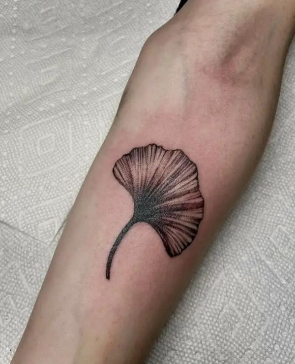 Vintage Ginkgo Leaf tattoo on forearm