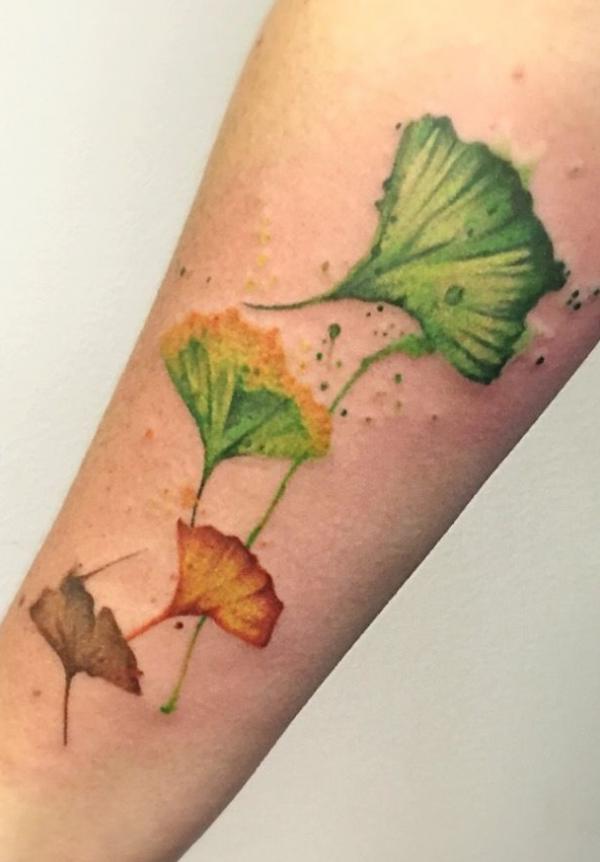 Watercolor ginkgo forearm tattoo