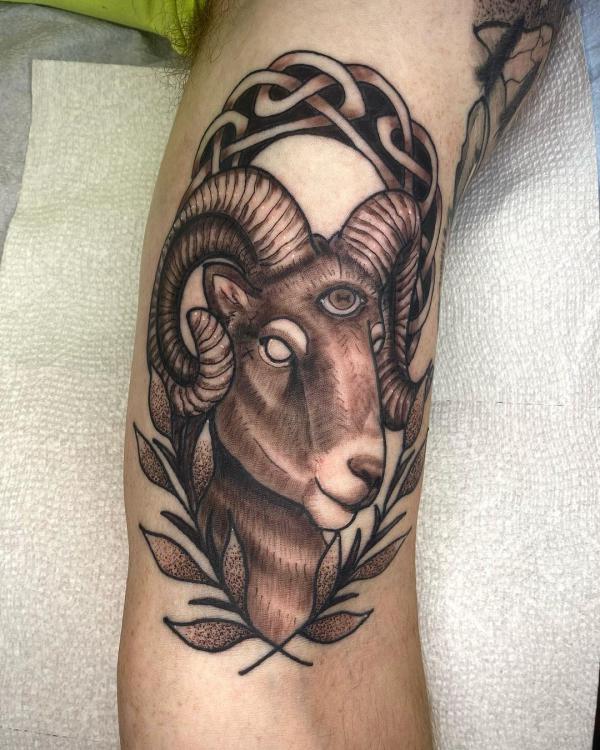 Aries ram with knot and leaves tattoo