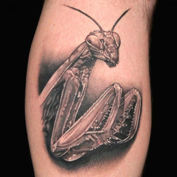 Black and grey realistic praying mantis tattoo