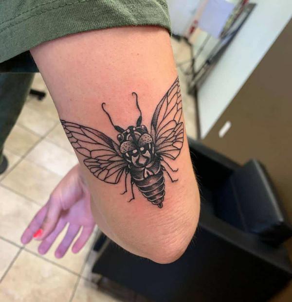 Black and white cicada back of arm tattoo