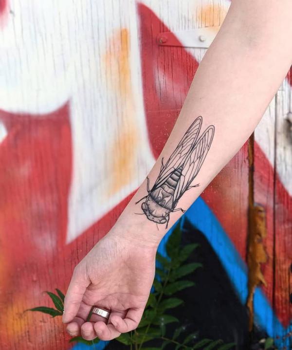 Black and white cicada inner forearm tattoo