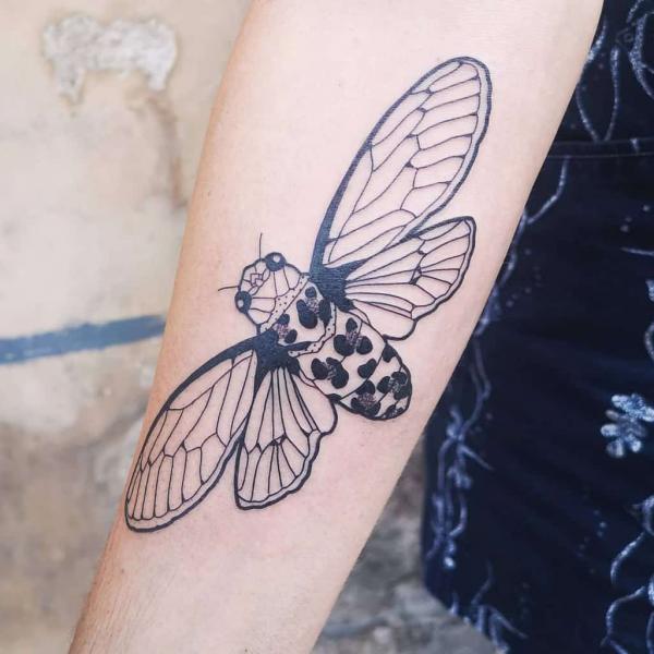 Black and white cicada line work tattoo