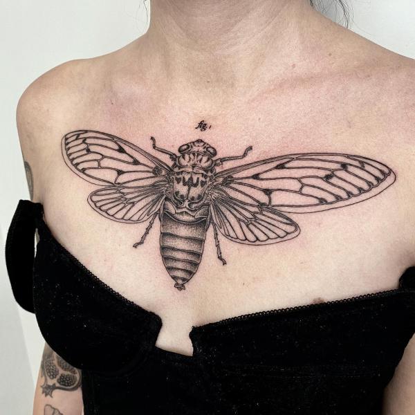 Cicada chest tattoo
