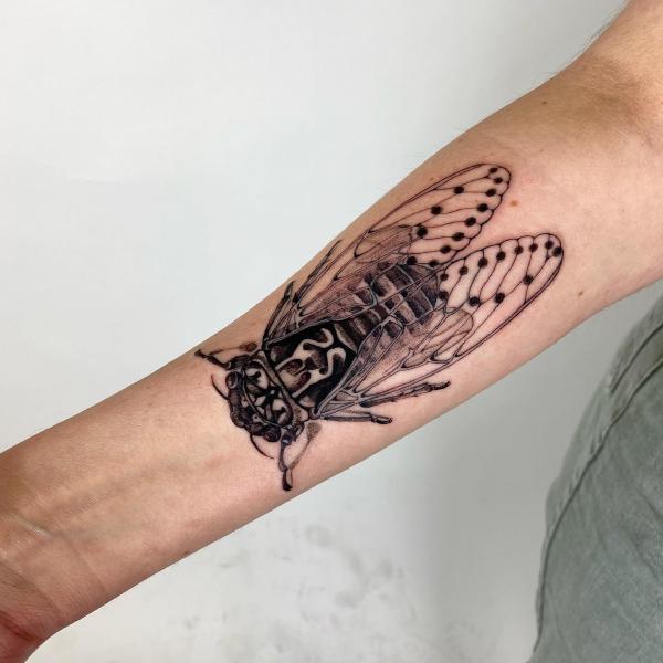 Cicada inner forearm tattoo
