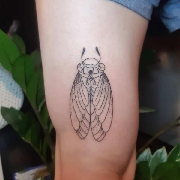 Cicada line work tattoo on thigh