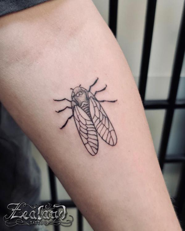 Cicada outline tattoo on inner forearm