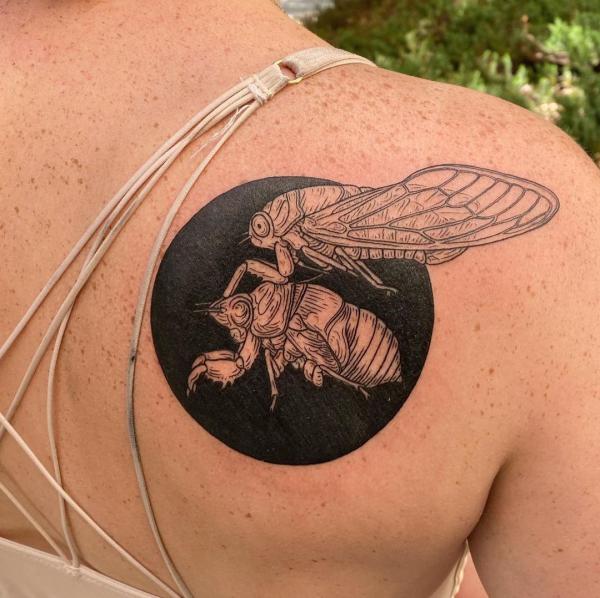 Cicada sheding skin and moon tattoo