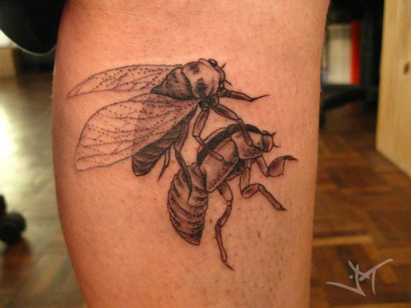 Cicada sheding skin tattoo