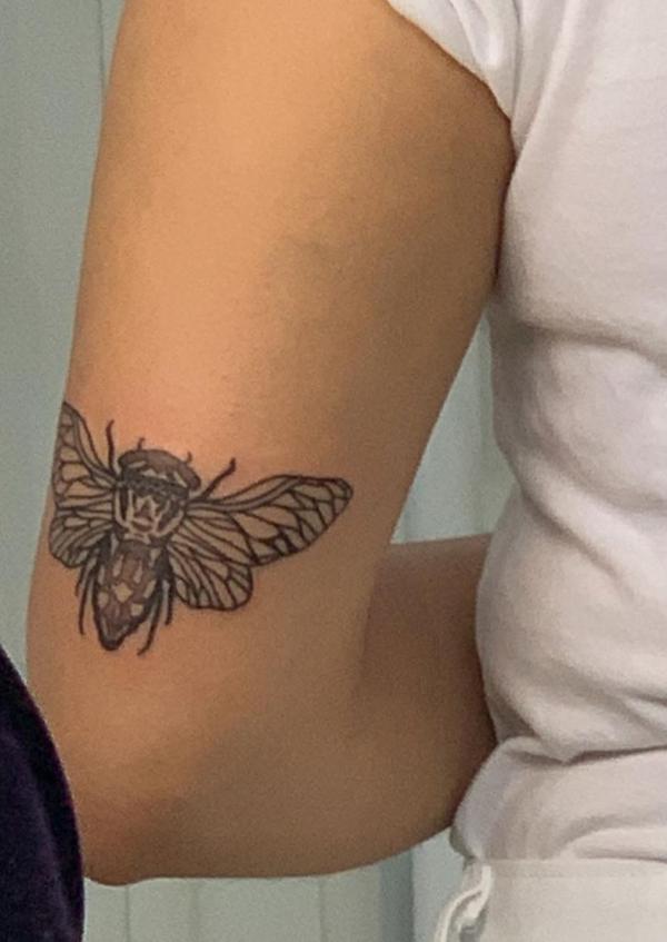 Cicada tattoo above elbow