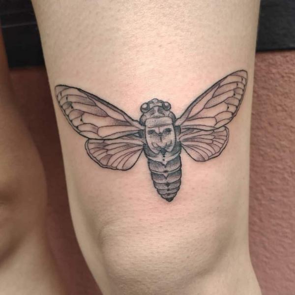 Cicada tattoo above knee
